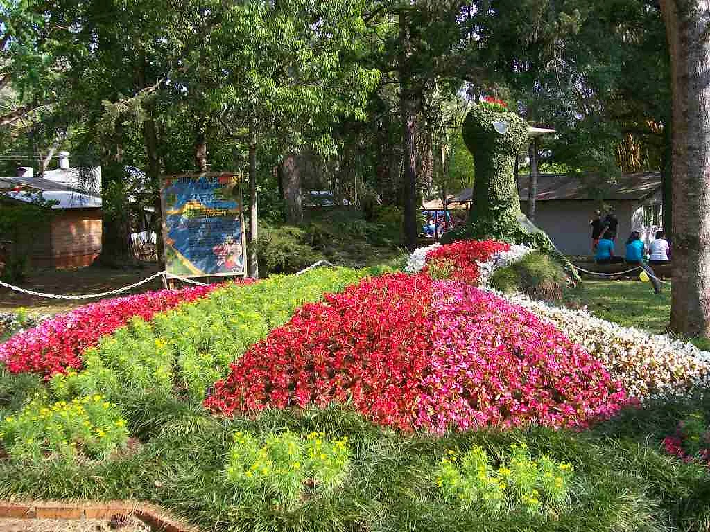 Pavo real hecho con flores rojas, rosas y blancas en un parque de Montecarlo